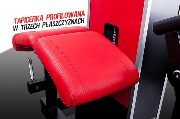 Dwugłowy uda leżąc PMS12 Kelton GYM EQUIPMENT