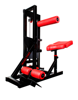 Mięśnie brzucha PMS1s Kelton GYM EQUIPMENT