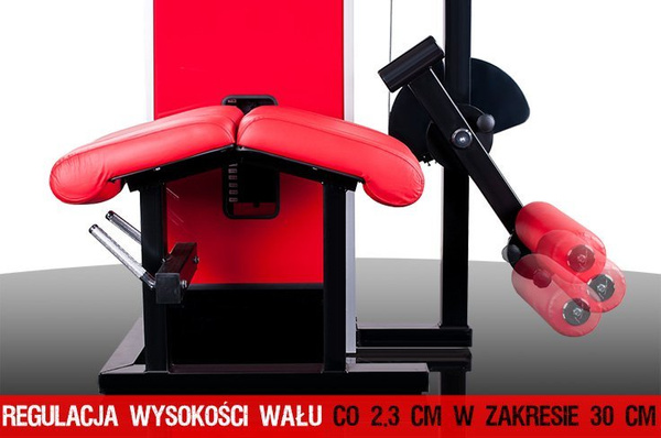 Dwugłowy uda leżąc PMS12 Kelton GYM EQUIPMENT