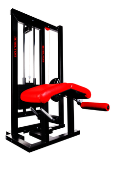 Dwugłowy uda leżąc PMS12s Kelton GYM EQUIPMENT