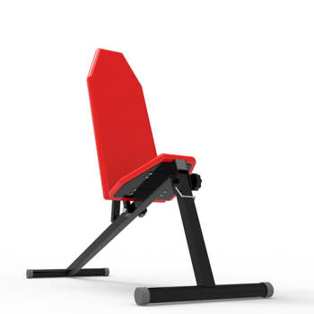 Folding bench for exercises with regulation 