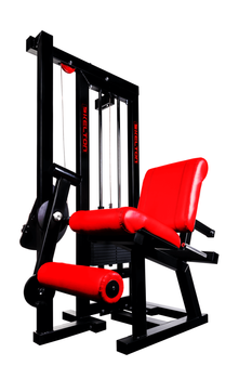 Czworogłowy uda siedząc PMS9s Kelton GYM EQUIPMENT